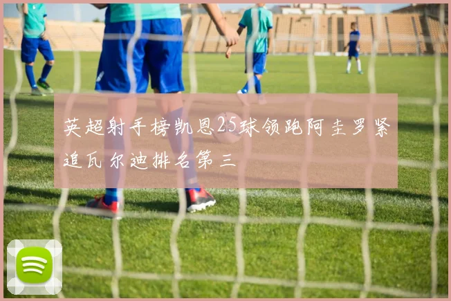 英超射手榜凯恩25球领跑阿圭罗紧追瓦尔迪排名第三