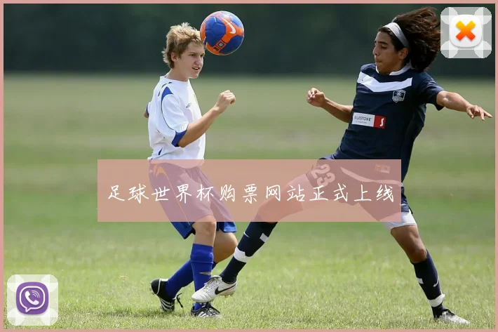 足球世界杯购票网站正式上线
